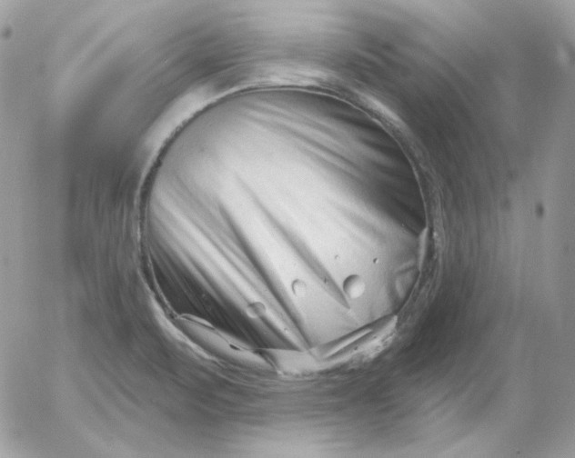 X0000052941471200507221134