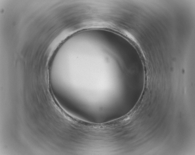 X0000052941472200507221134