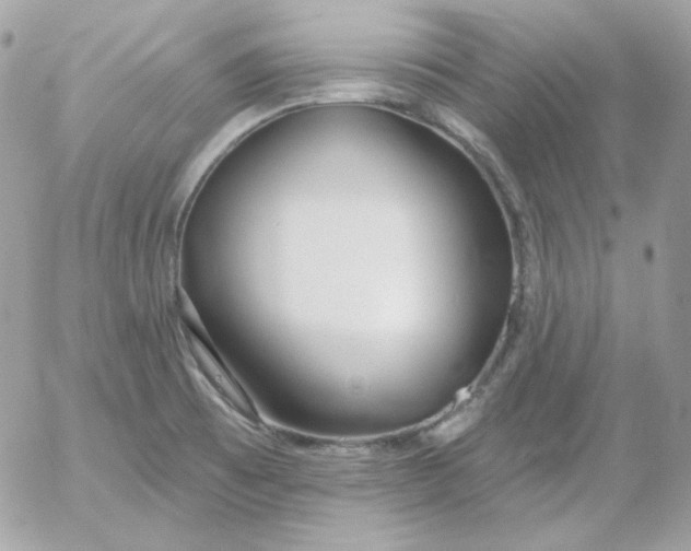 X0000052941473200507221134