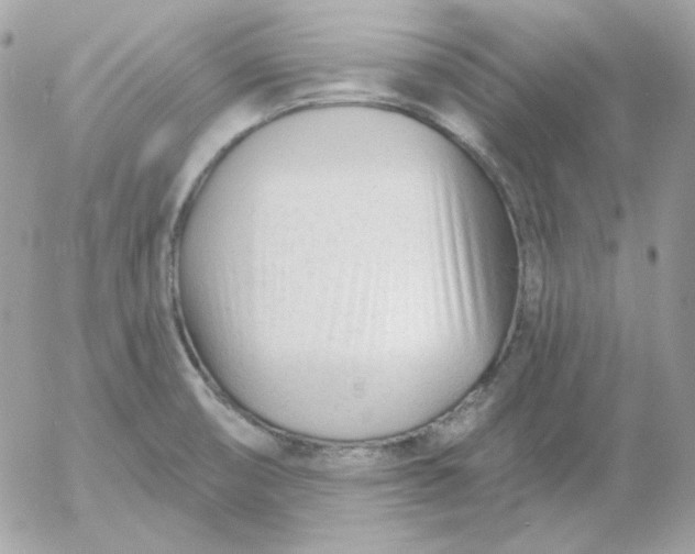 X0000052941474200507221134