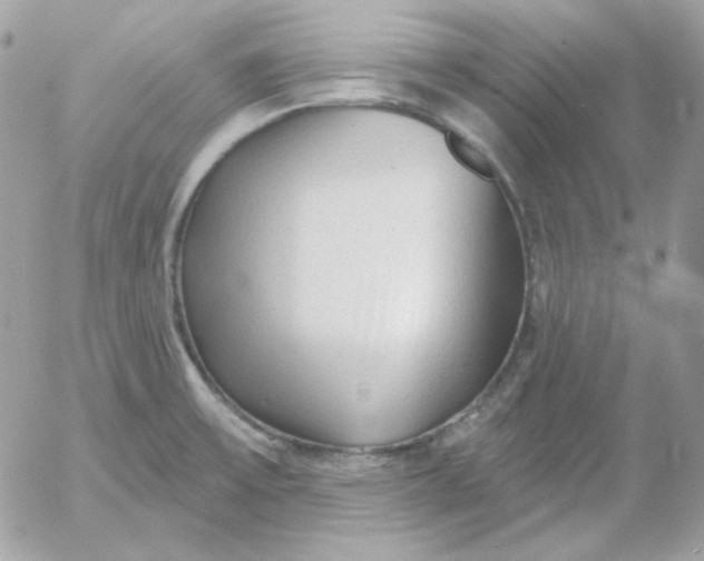 X0000052941475200507221134