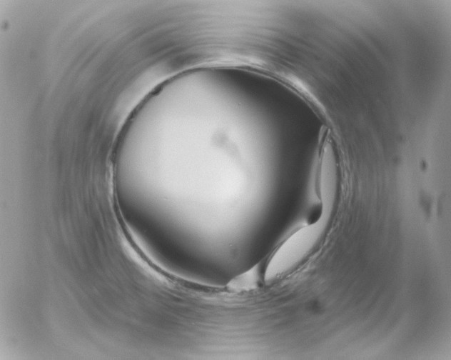 X0000052941476200507221134