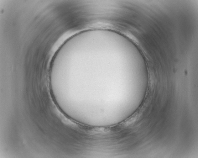 X0000052941478200507221134