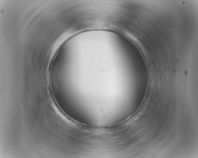 X0000052941479200507221134