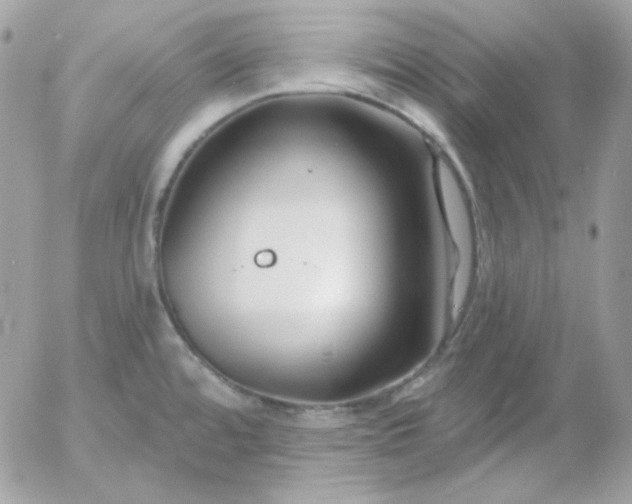 X0000052941480200507221134