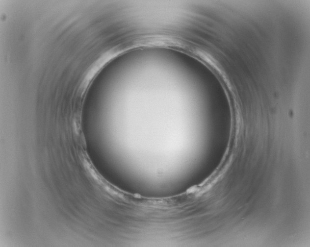 X0000052941481200507221134