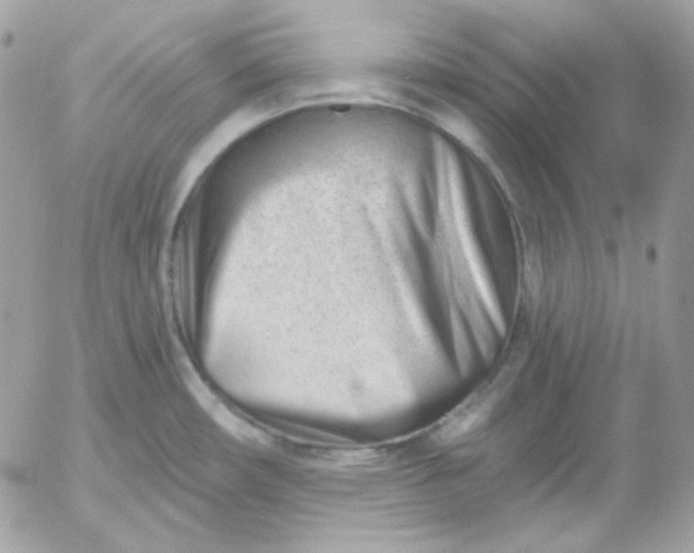 X0000052941482200507221134