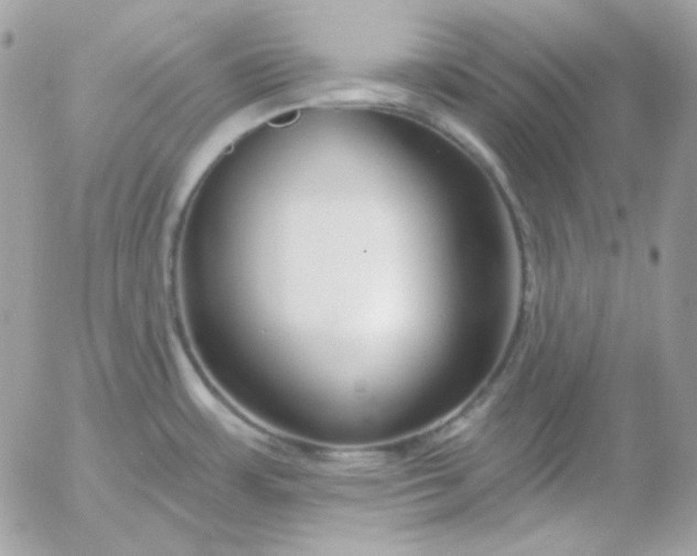 X0000052941483200507221134