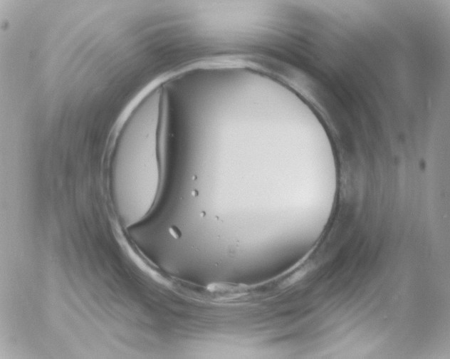 X0000052941484200507221134