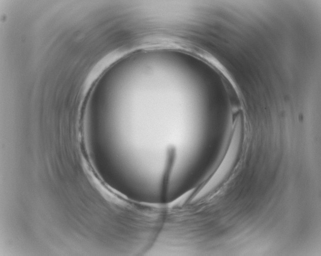 X0000052941485200507221134