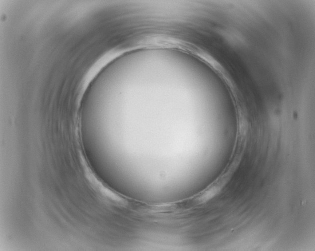 X0000052941486200507221134