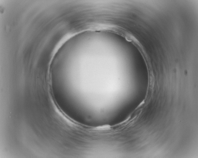 X0000052941487200507221134