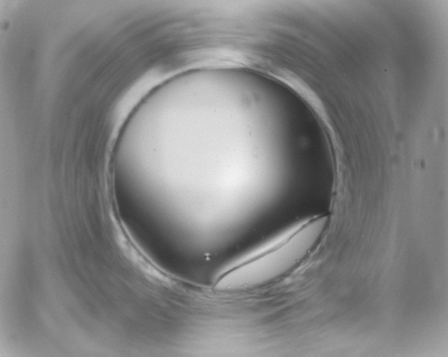 X0000052941488200507221134