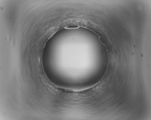 X0000052941489200507221133