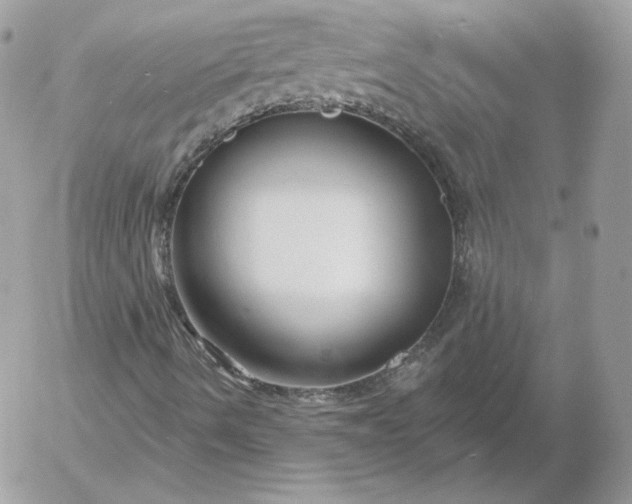 X0000052941490200507221133