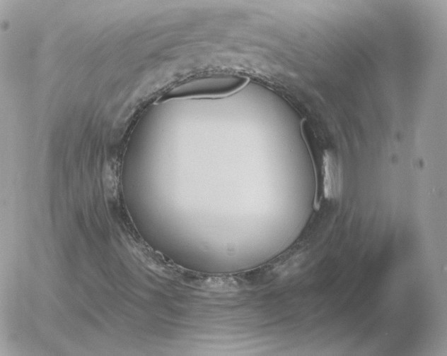 X0000052941491200507221133