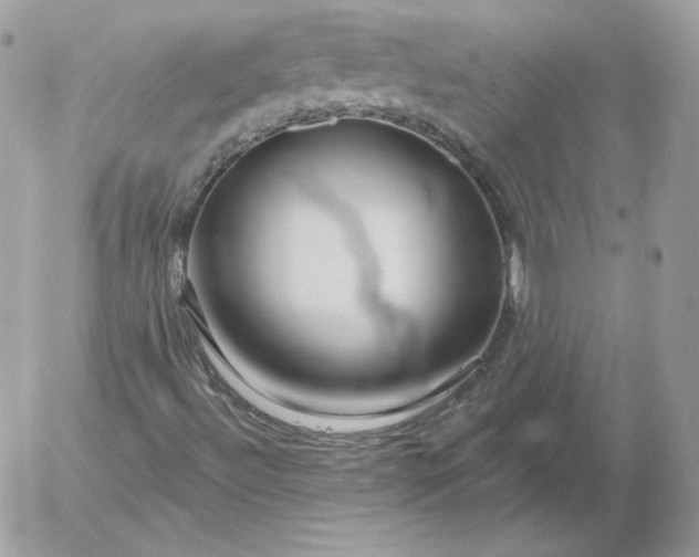 X0000052941492200507221133