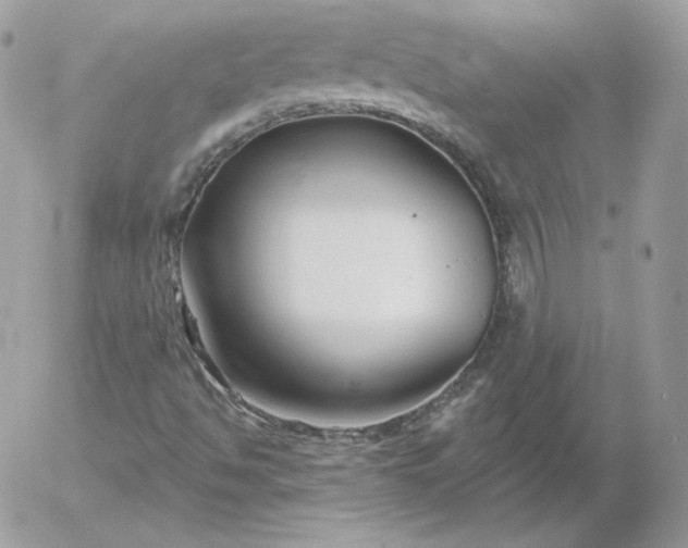 X0000052941494200507221133