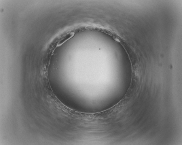 X0000052941495200507221133