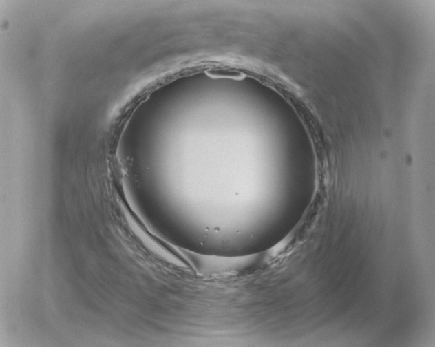 X0000052941496200507221133