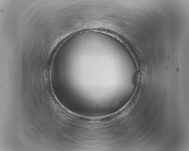 X0000052941497200507221133