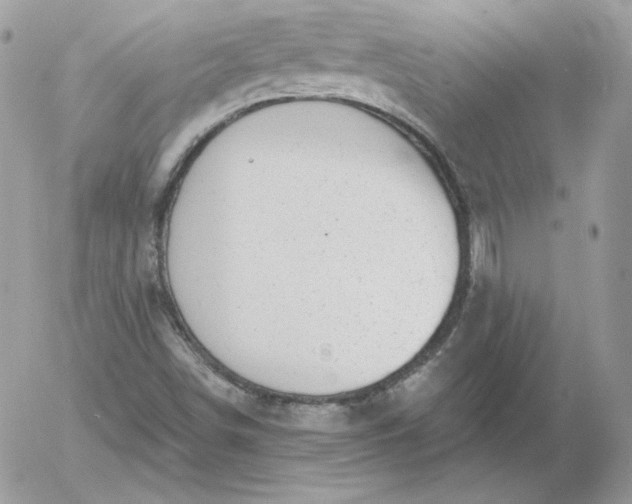 X0000052941498200507221133