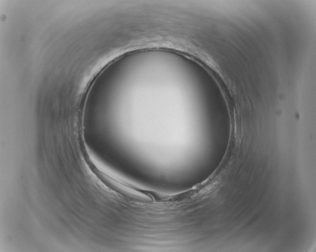 X0000052941500200507221133