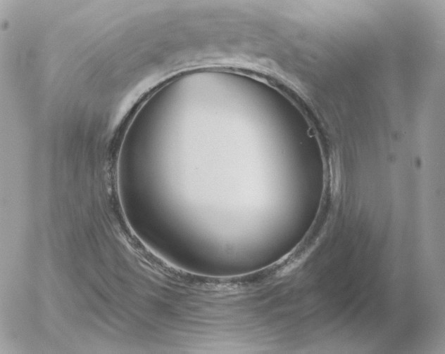 X0000052941501200507221133