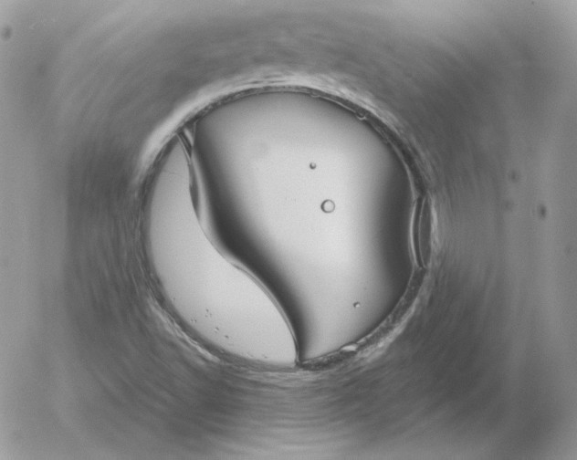 X0000052941502200507221133