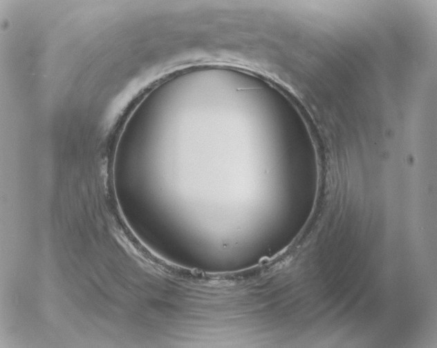 X0000052941503200507221133