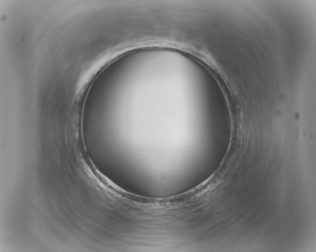 X0000052941504200507221133