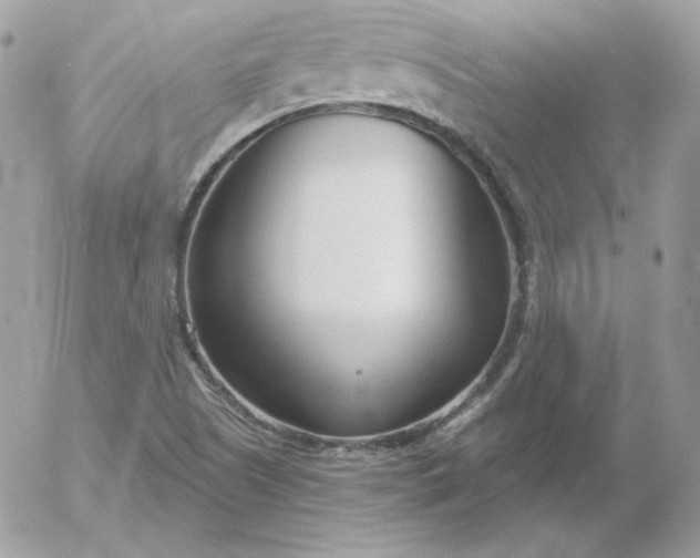 X0000052941505200507221133