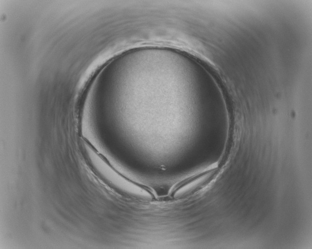 X0000052941506200507221133