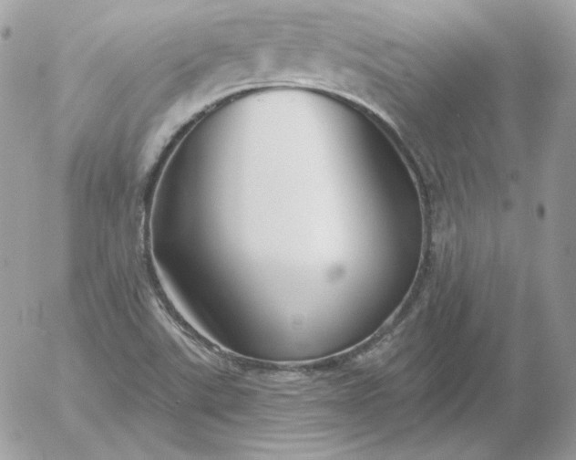 X0000052941507200507221133