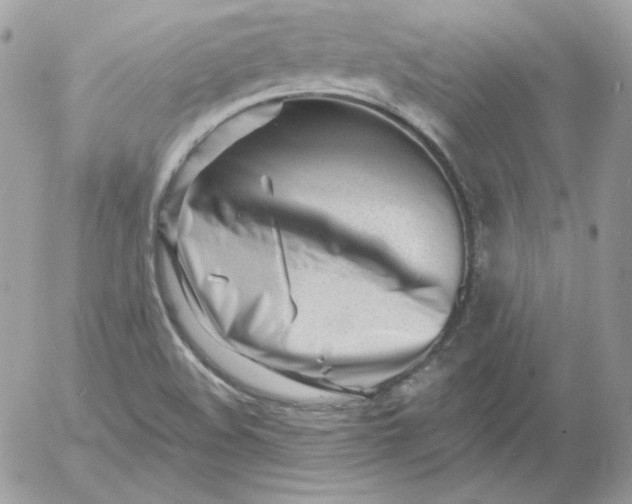 X0000052941508200507221133