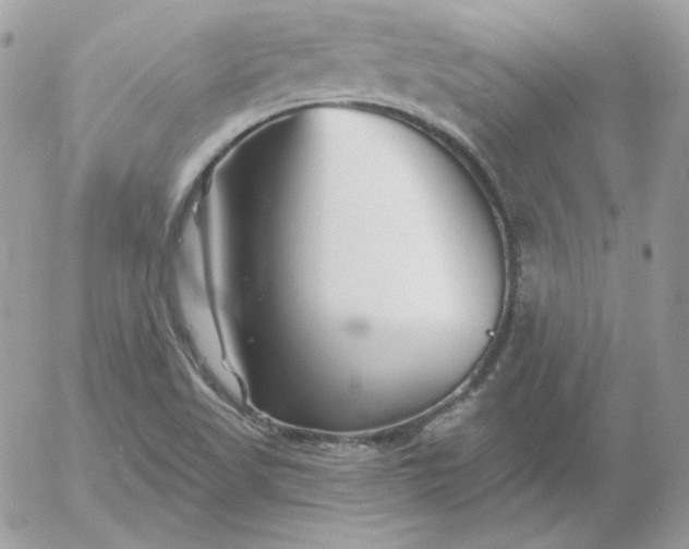 X0000052941509200507221133