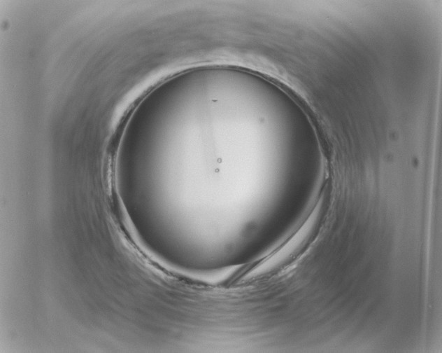 X0000052941510200507221133