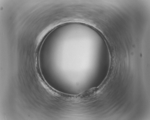 X0000052941511200507221133