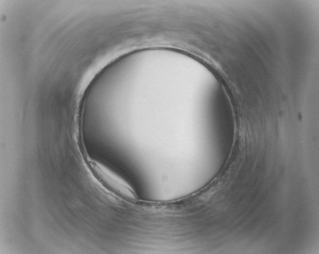 X0000052941512200507221133