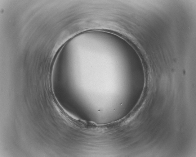 X0000052941513200507221133