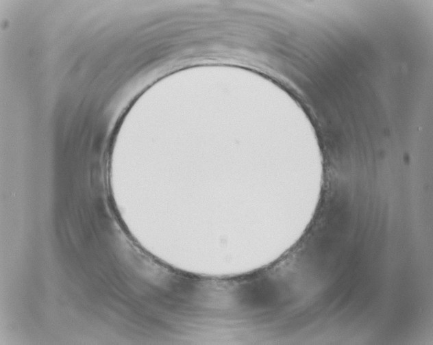 X0000052941514200507221133