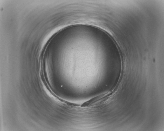 X0000052941515200507221133