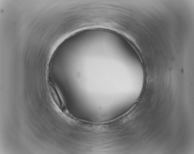 X0000052941516200507221133