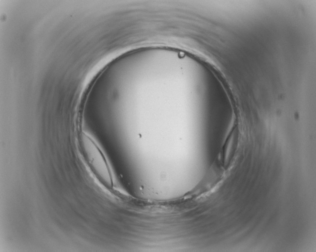 X0000052941517200507221133