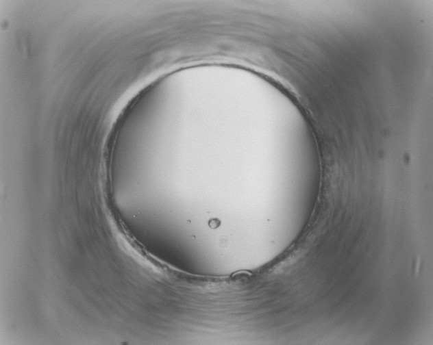 X0000052941518200507221134