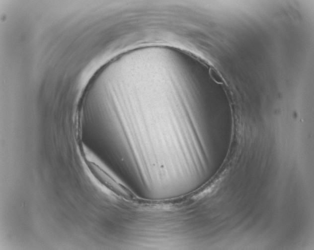 X0000052941519200507221134