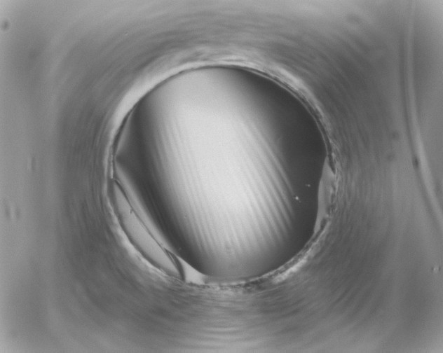 X0000052941520200507221134