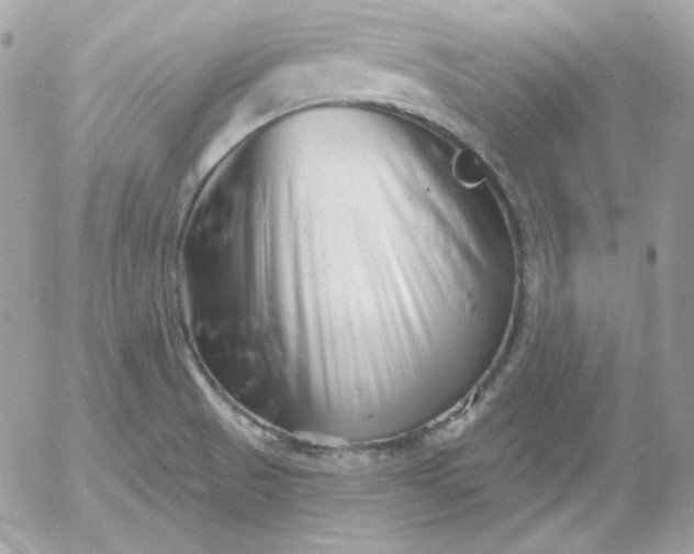 X0000052941521200507221134