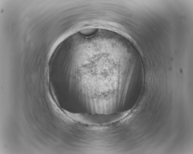 X0000052941522200507221134