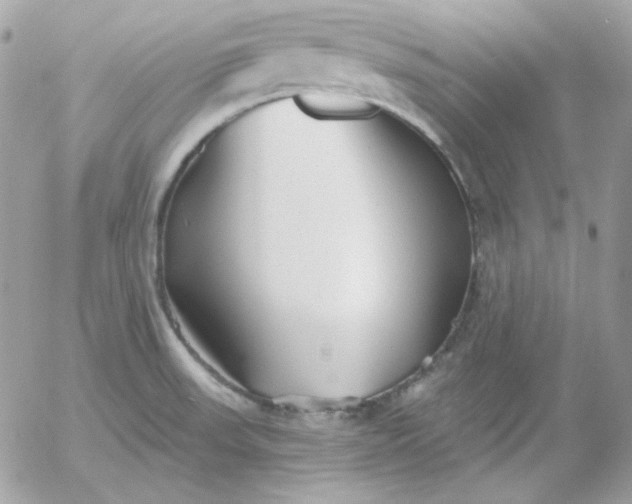 X0000052941523200507221134